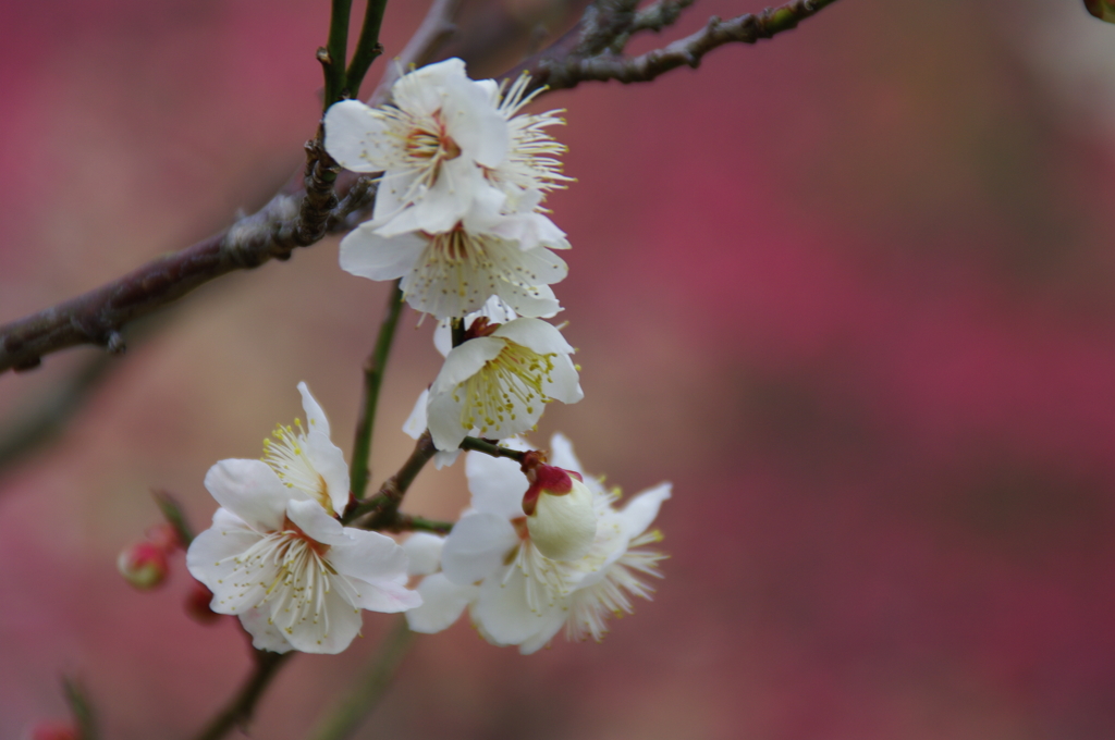 大高緑地公園にて　
