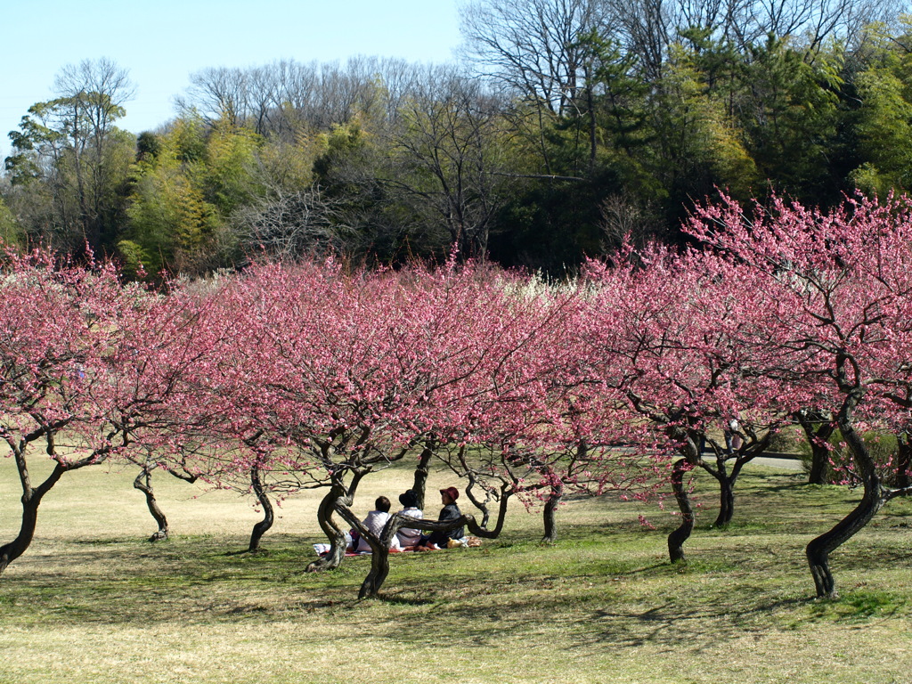 大高緑地公園にて　