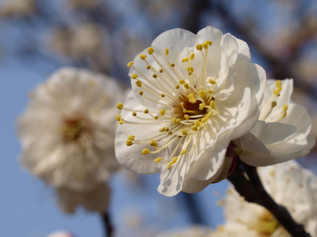 大高緑地公園にて