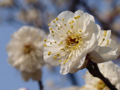 大高緑地公園にて