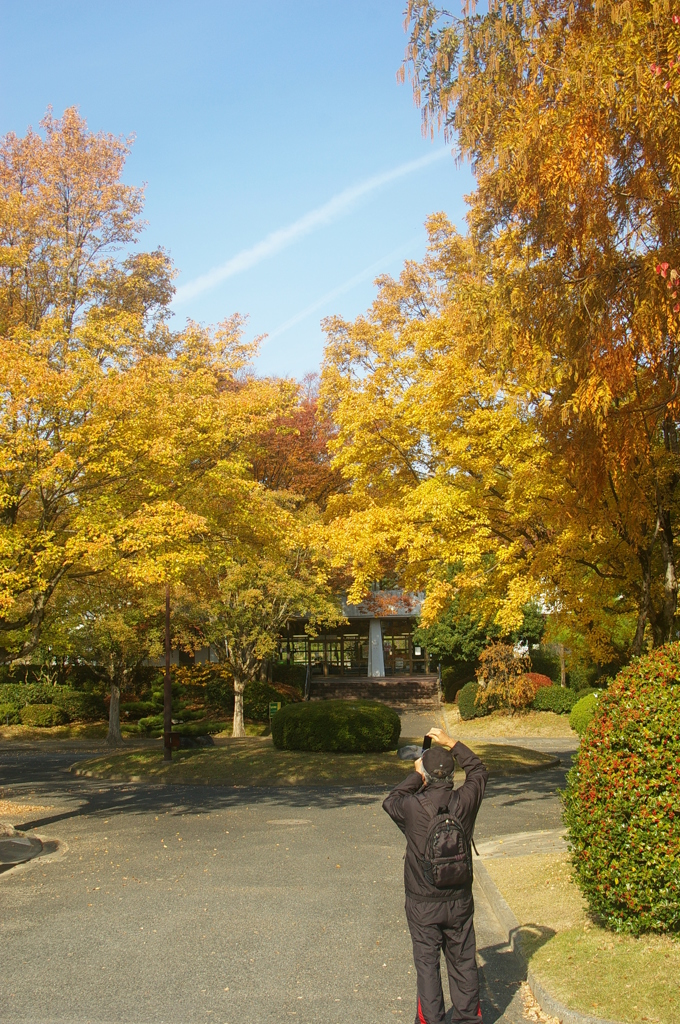 いい写真撮れましたか？