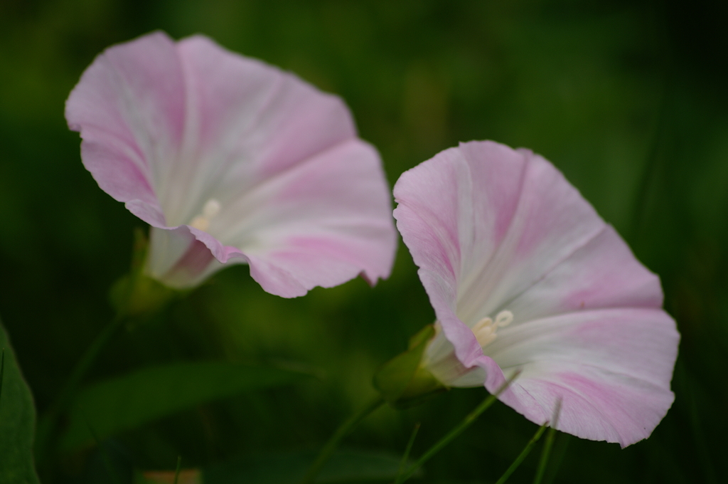 名古屋市農業センターにて