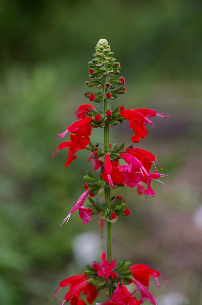 名古屋市農業センターにて