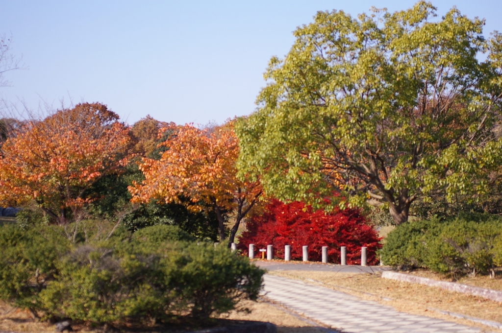 大高緑地公園にて