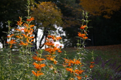 名古屋市農業センターにて