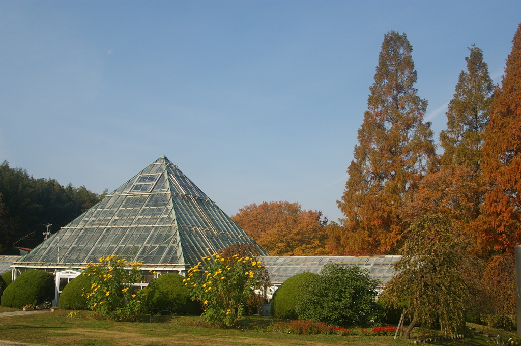 名古屋市農業センターにて
