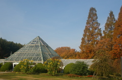 名古屋市農業センターにて