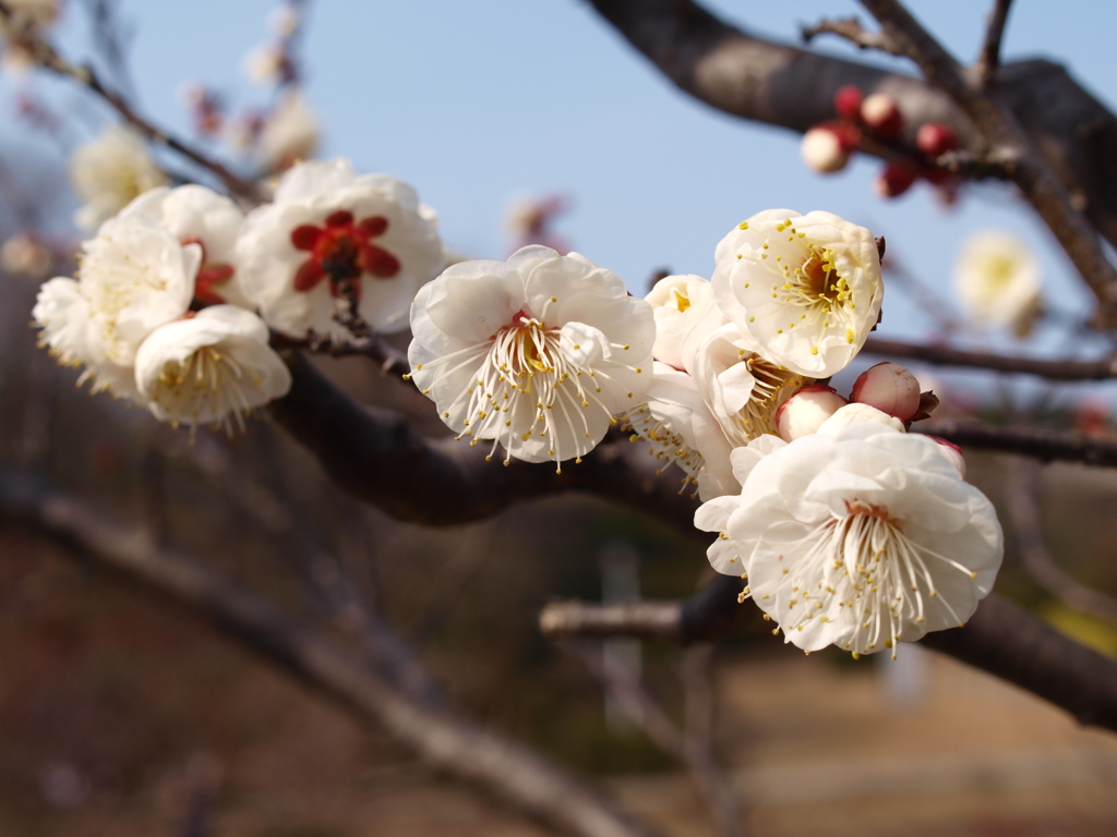 大高緑地公園にて