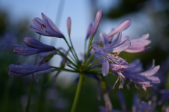 大高緑地公園にて　
