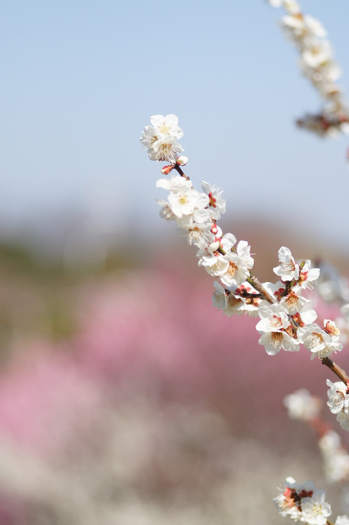 大高緑地公園にて　