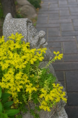 名古屋市農業センターにて　