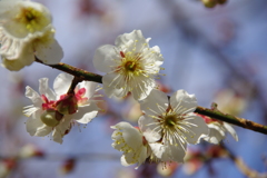 大高緑地公園にて　