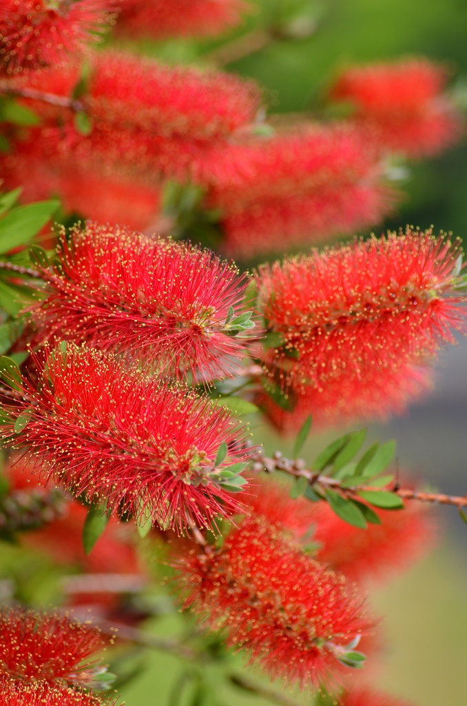 大高緑地公園にて　