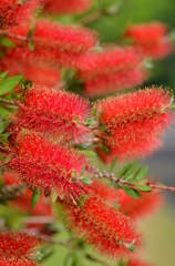 大高緑地公園にて　