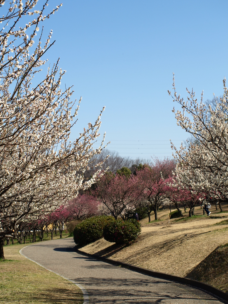 大高緑地公園にて　