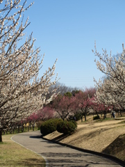 大高緑地公園にて　