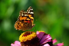 名古屋市農業センターにて