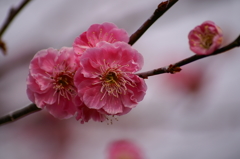 大高緑地公園にて　