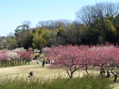 大高緑地公園にて　