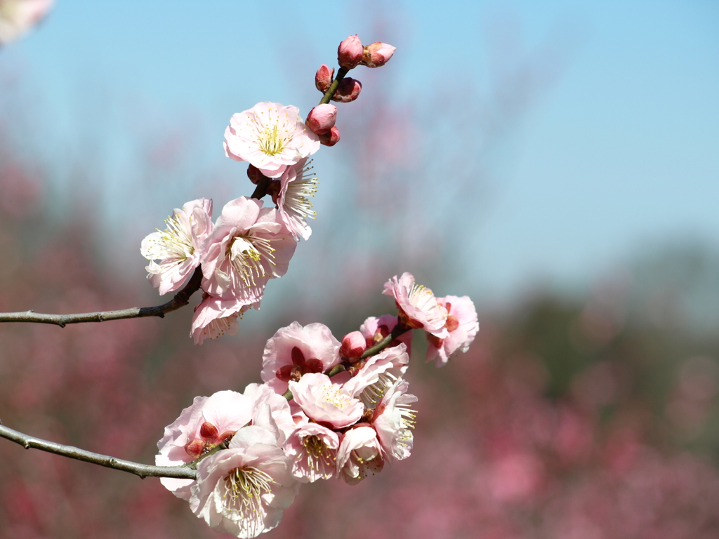 大高緑地公園にて　