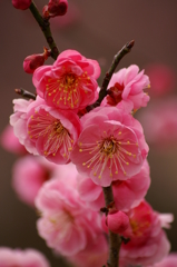 大高緑地公園にて　