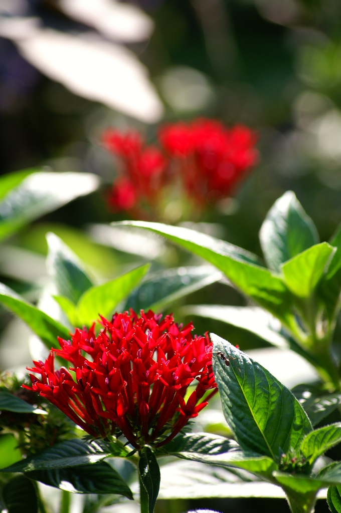 名古屋市農業センターにて