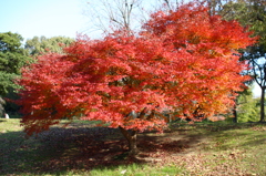 名古屋市農業センターにて