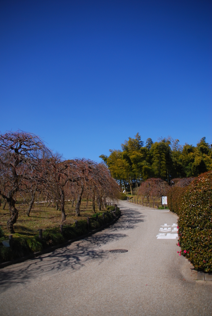 名古屋市農業センターにて