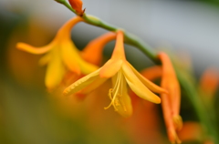 大高緑地公園にて　