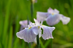 大高緑地公園にて　