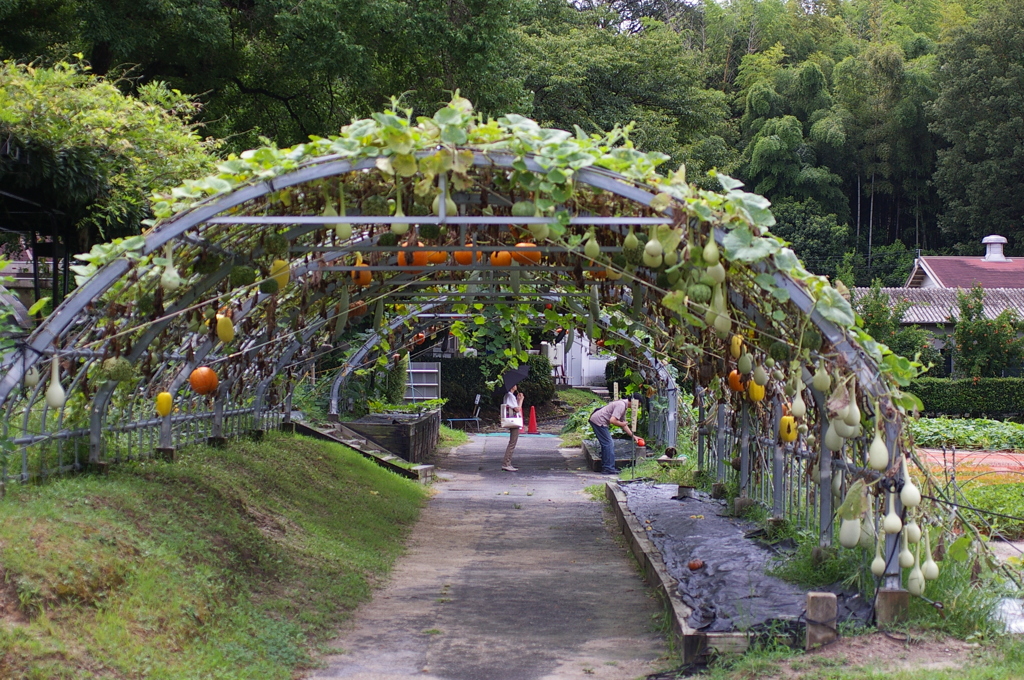 名古屋市農業センターにて