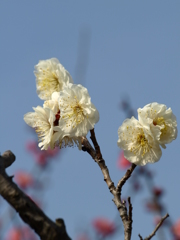 035