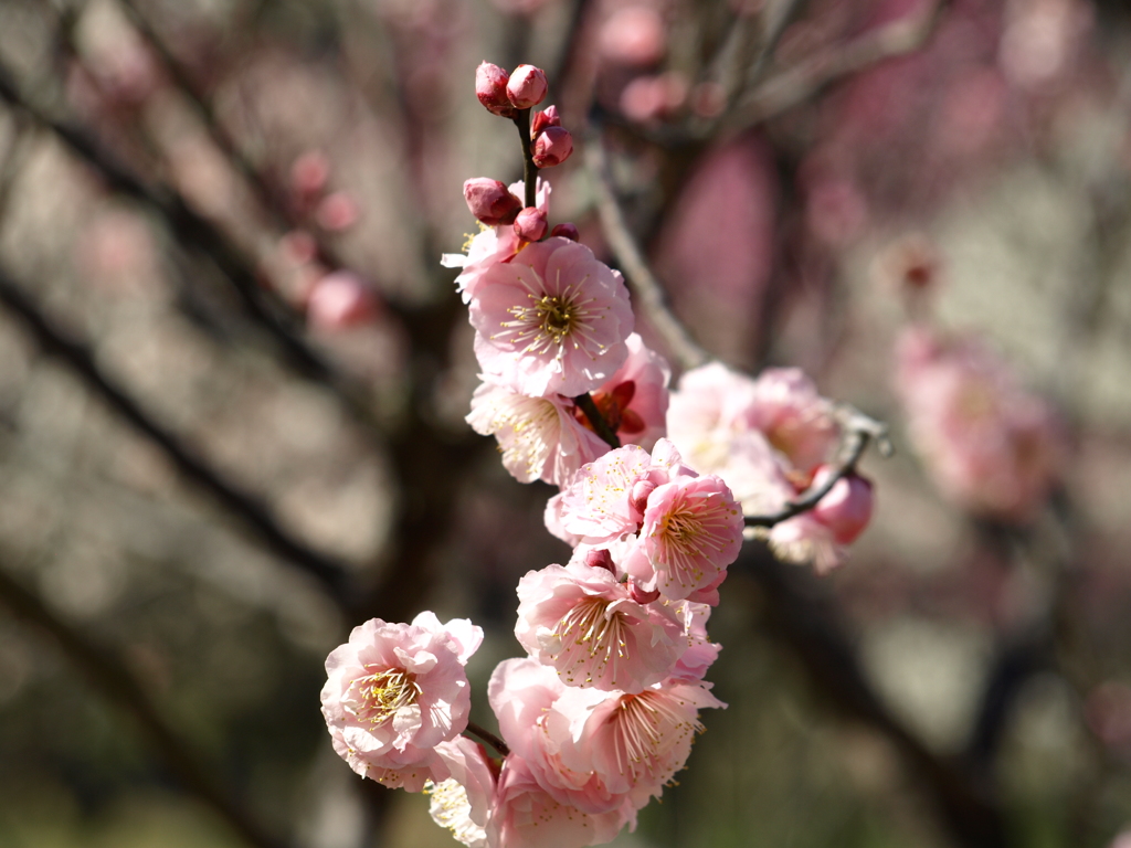 大高緑地公園にて　