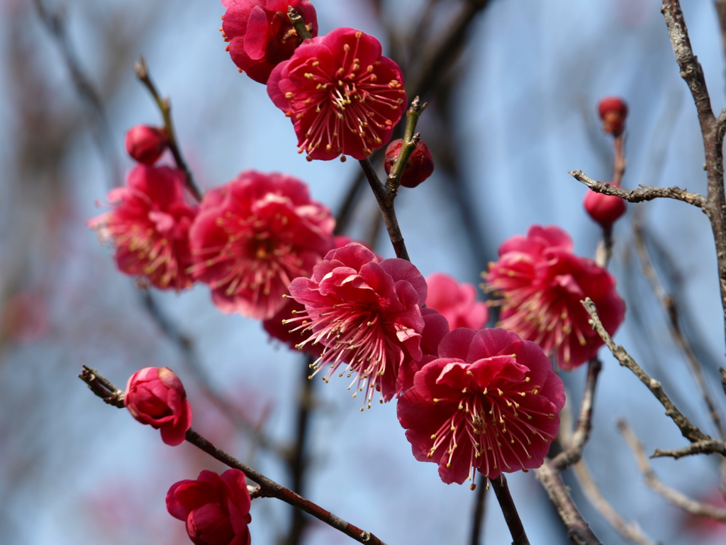 大高緑地公園にて