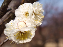大高緑地公園にて
