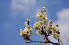 青空が嬉しくて＾＾