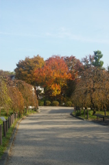 名古屋市農業センターにて