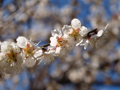 大高緑地公園にて