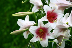 名古屋市農業センターにて　