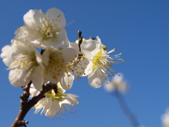 大高緑地公園にて　