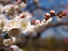 大高緑地公園にて　