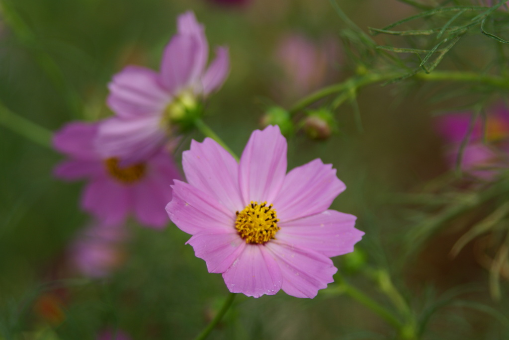大高緑地公園にて　
