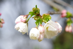 大高緑地公園にて　