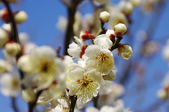 大高緑地公園にて　