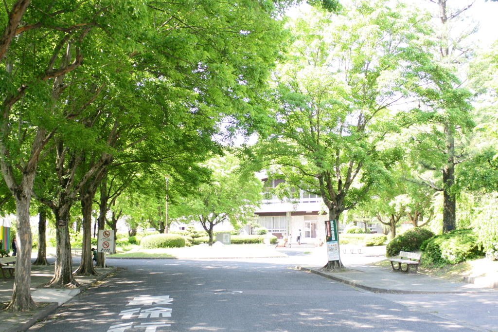 名古屋市農業センターにて