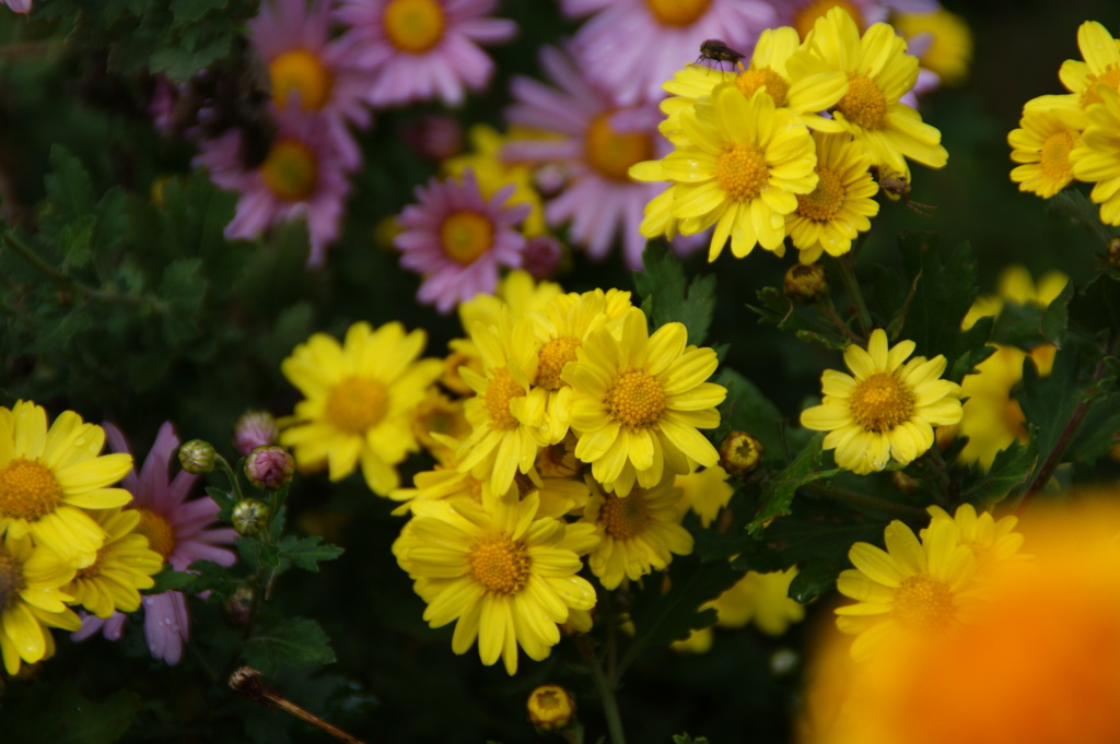 大高緑地公園にて