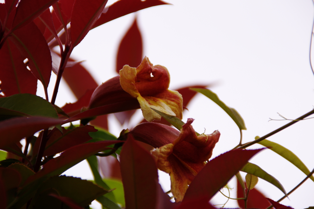 名古屋市農業センターにて　