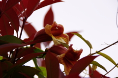 名古屋市農業センターにて　