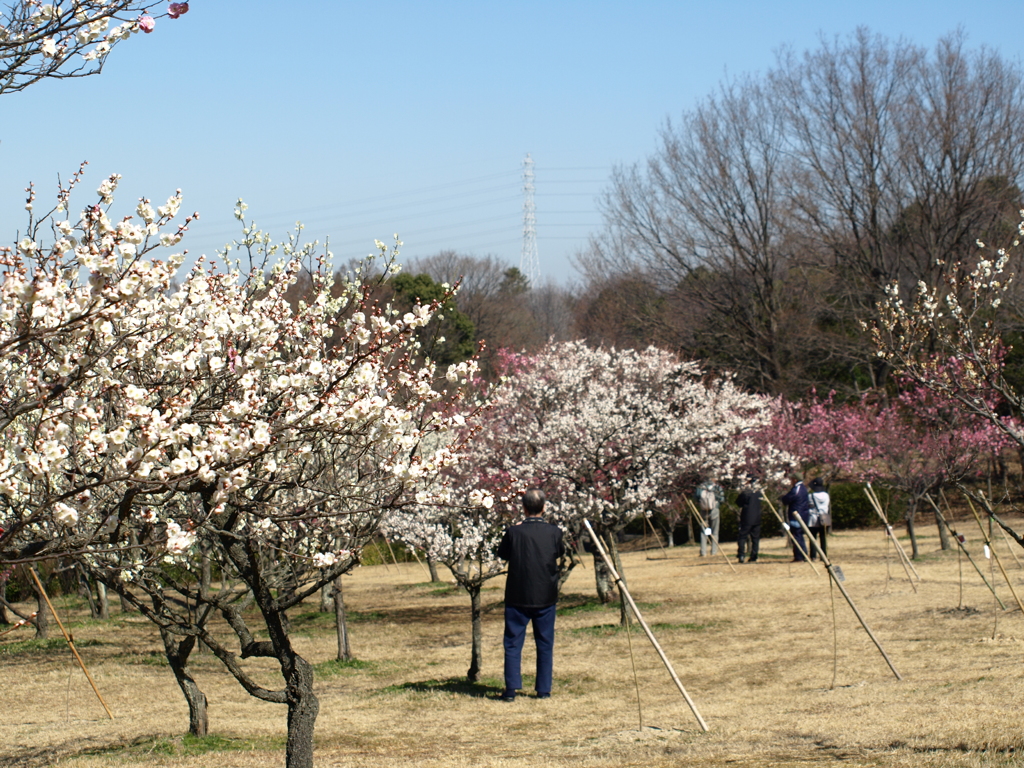 大高緑地公園にて　
