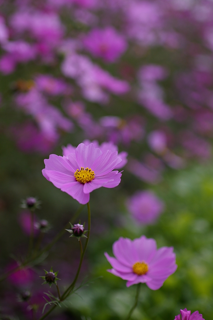 みどりが丘公園にて